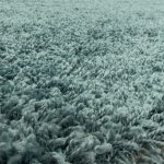 SYDNEY AQUA 160 X 160 - COVOR CERC