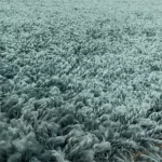 SYDNEY AQUA 200 X 290 covor